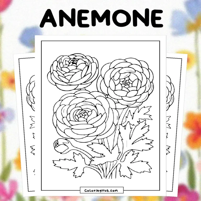 Anemone Coloring Pages