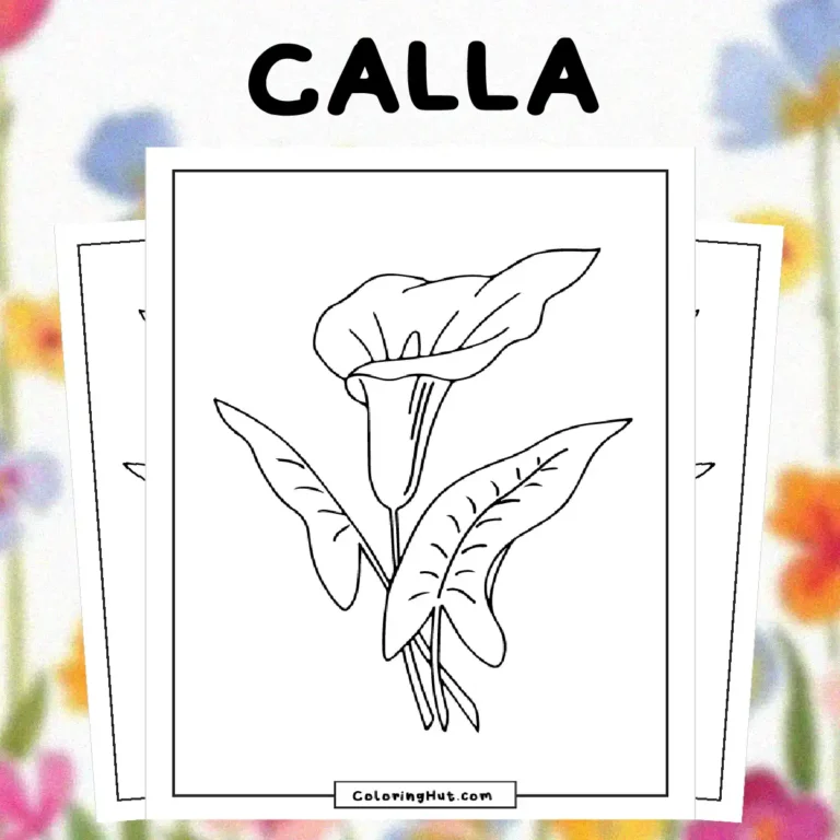 Calla Coloring Pages