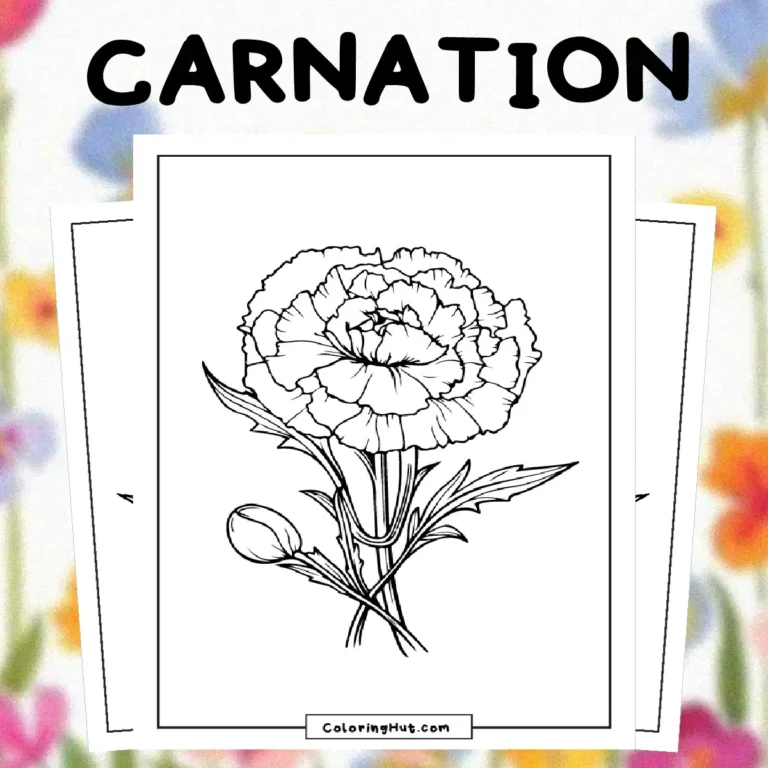 Carnation Coloring Pages