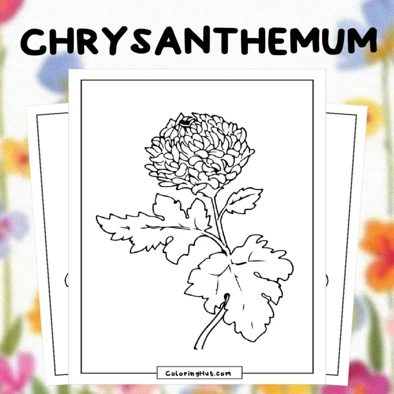 Chrysanthemum Coloring Pages