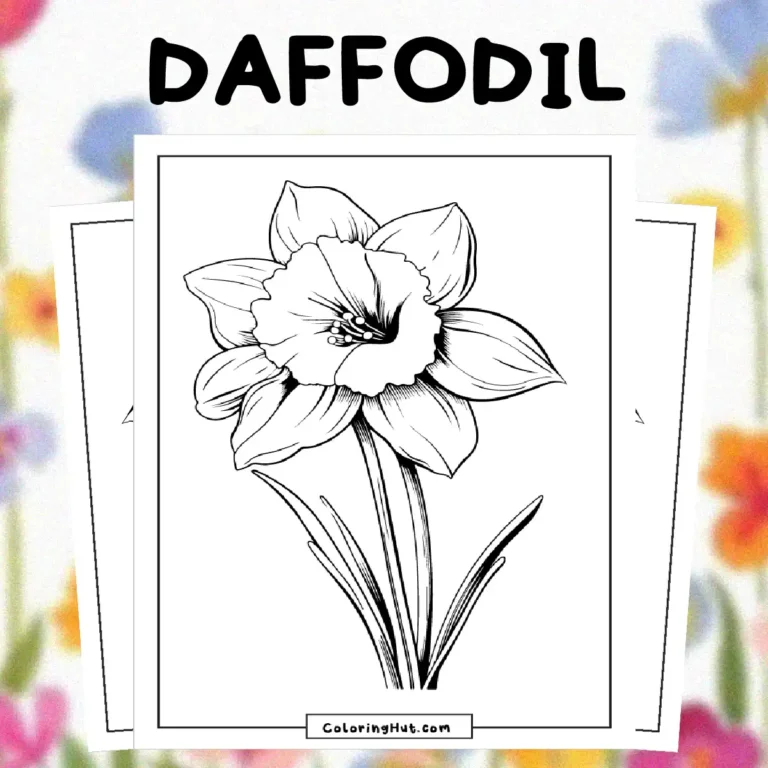 Daffodil Coloring Page