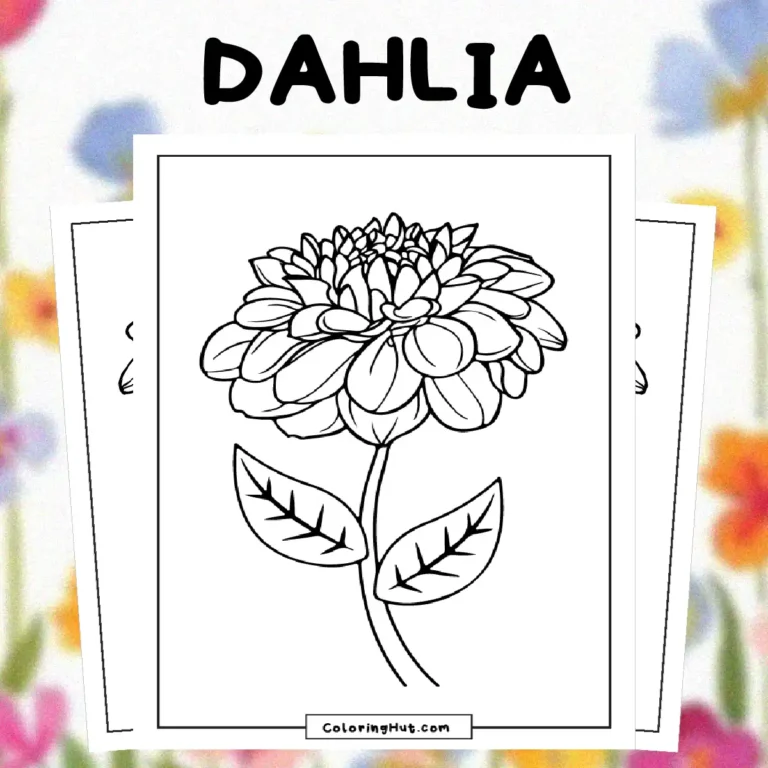 Dahlia Coloring Pages