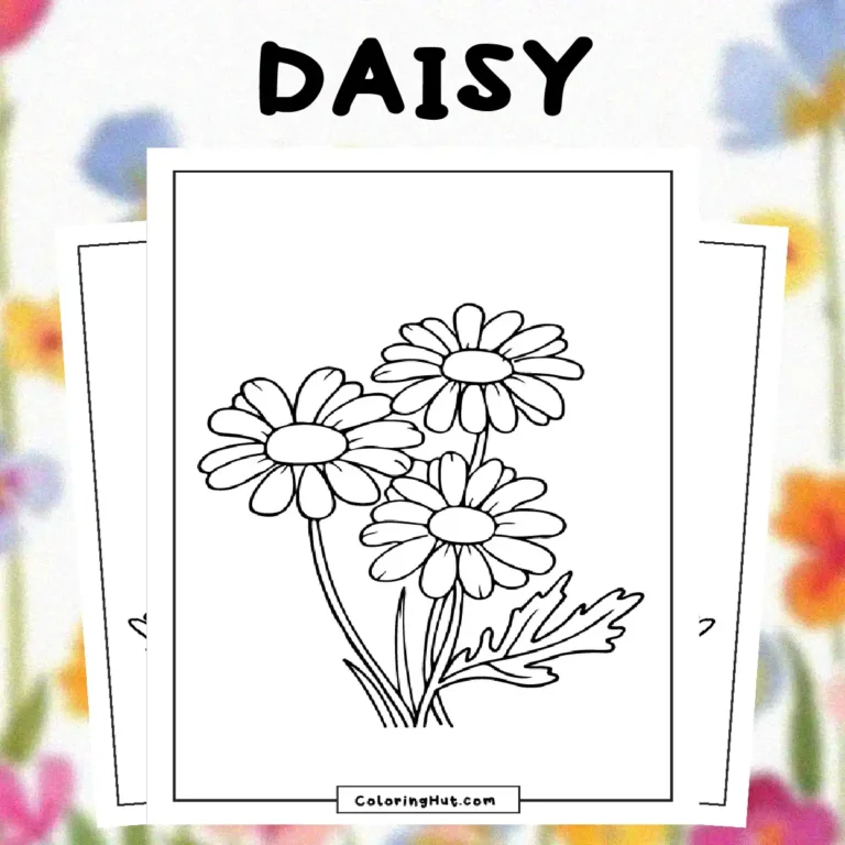 Daisy Coloring Pages