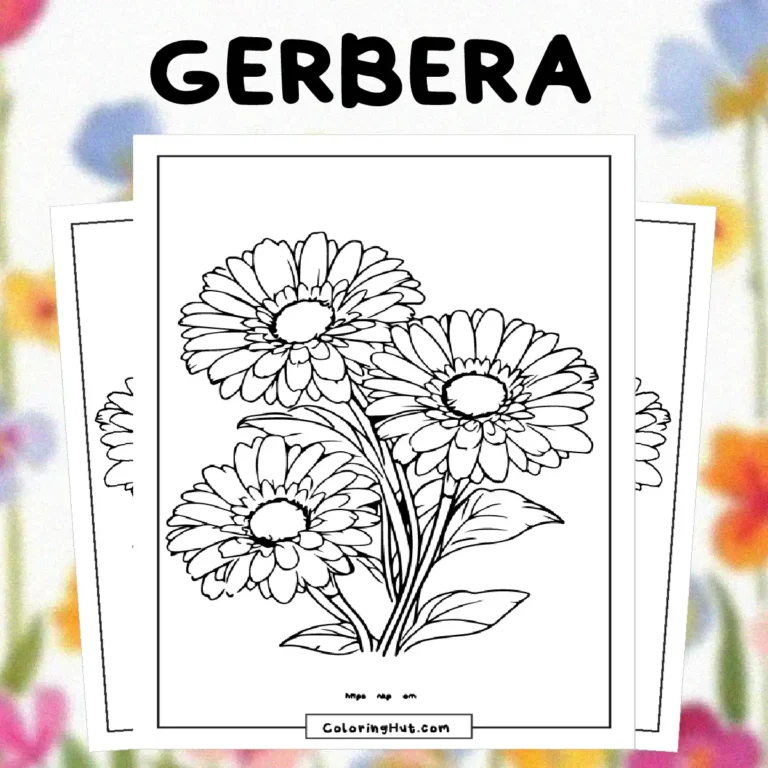 Gerbera Coloring Pages