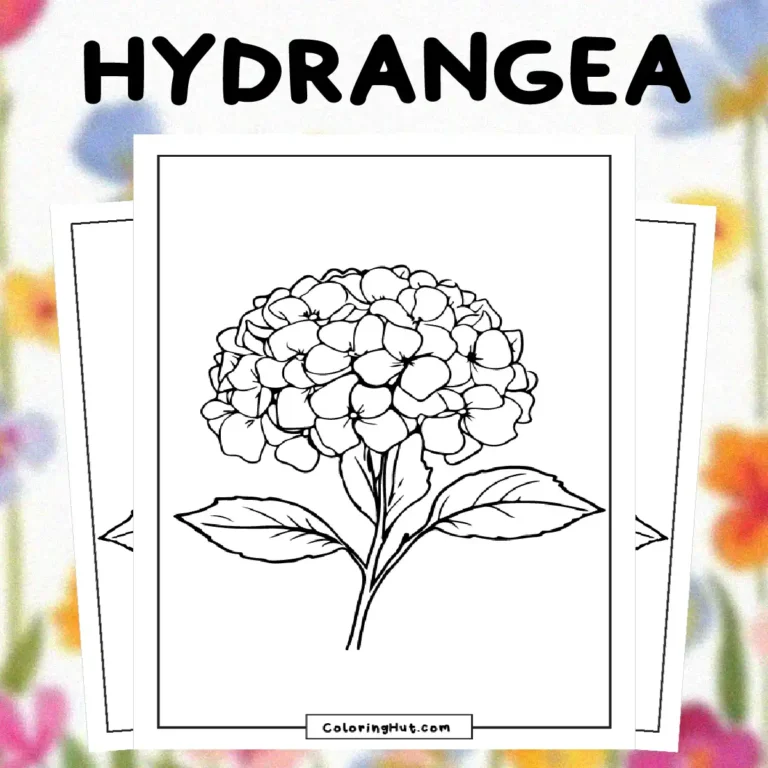 Hydrangea Coloring Pages