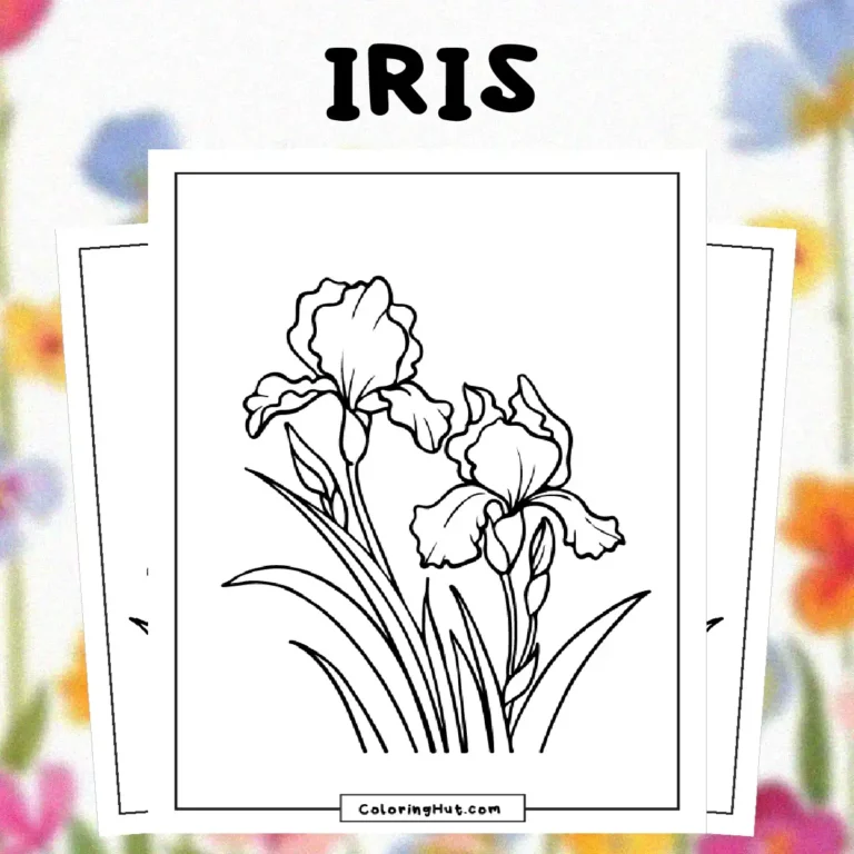 Iris Coloring Pages