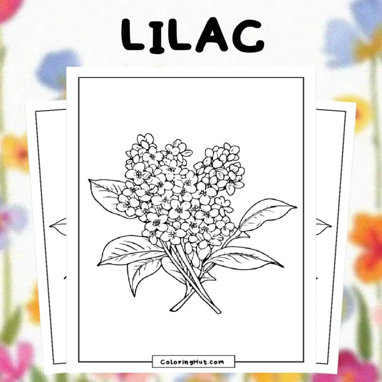 Lilac Coloring Pages