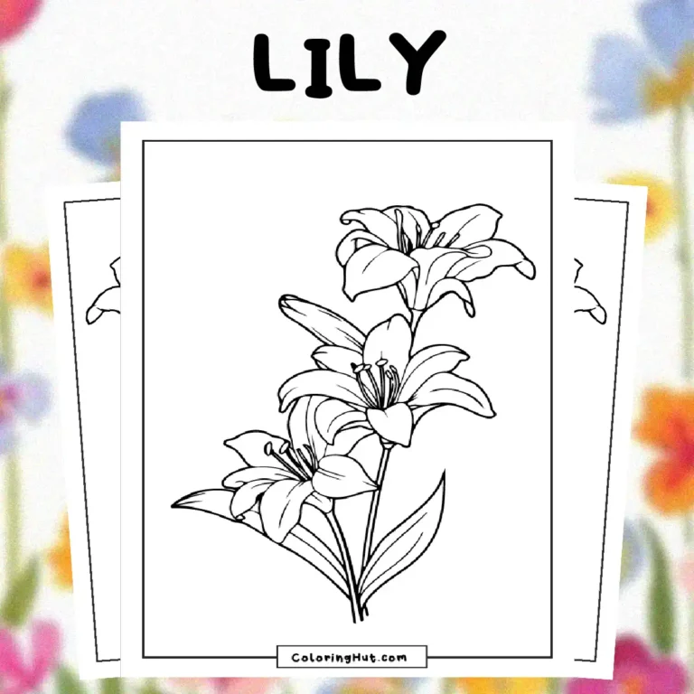 Lily Coloring Pages