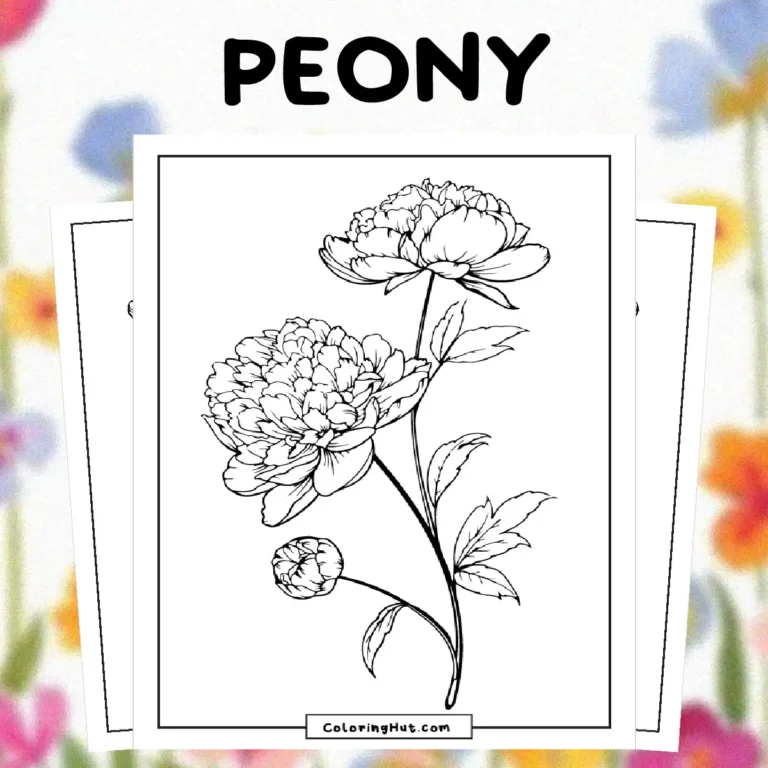 Peony Coloring Pages