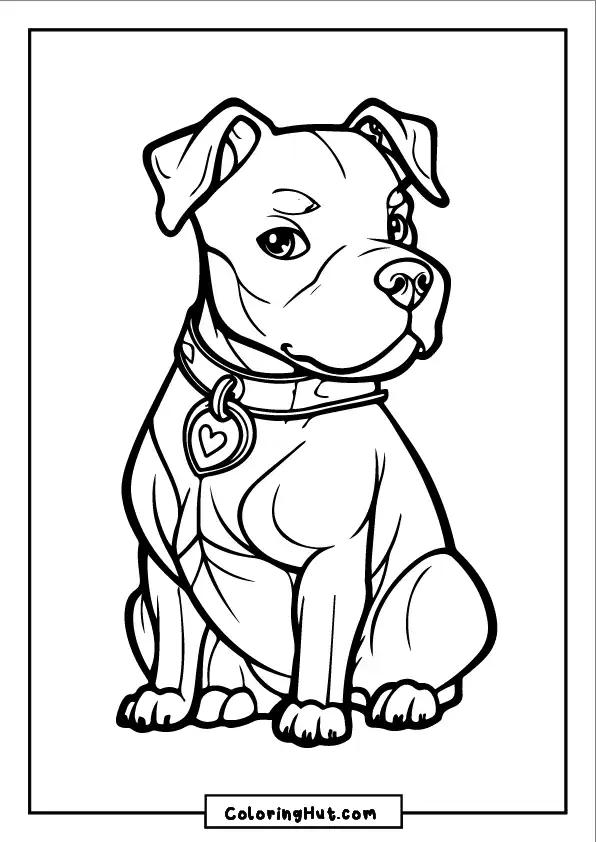 Pitbull puppy with a heart-shaped collar sitting attentively - printable coloring sheet.
