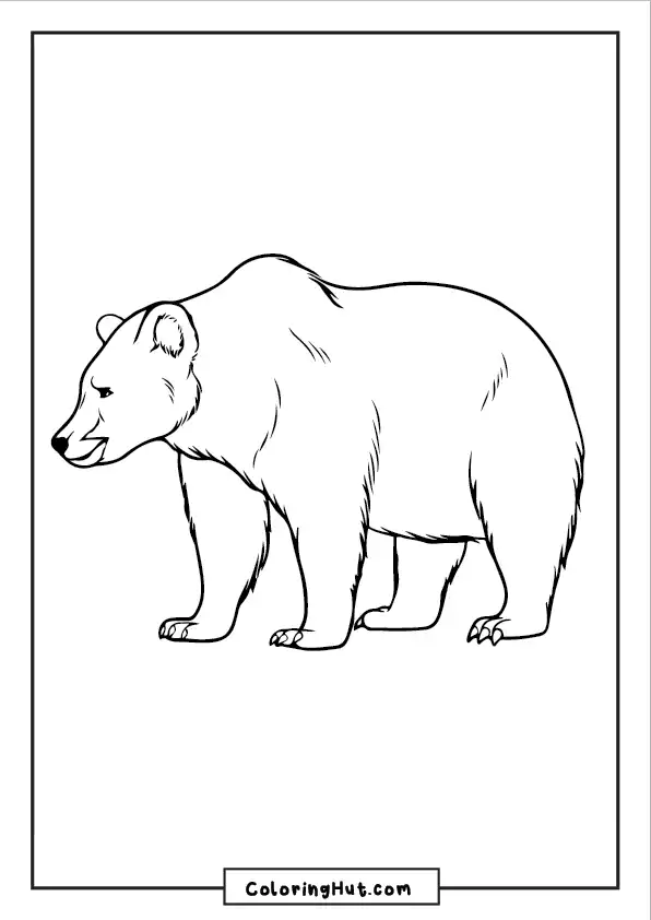Bear Coloring Page
