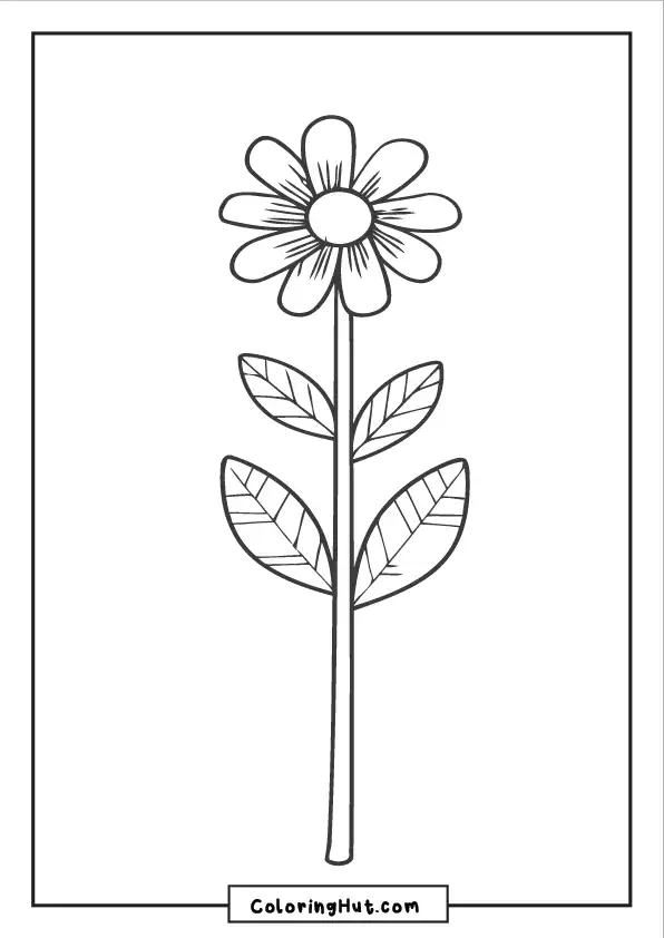 Tall single daisy coloring page with a long stem and detailed leaves.