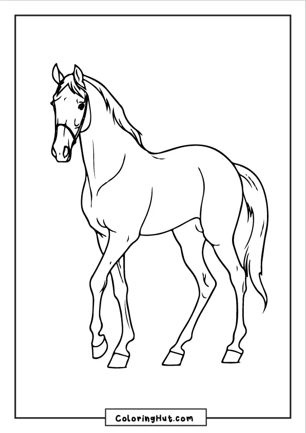 Realistic horse coloring page with detailed line art for kids and adults.