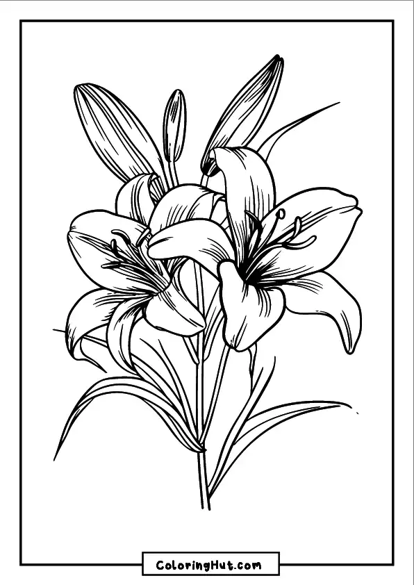 Lily bouquet coloring page with multiple flowers and buds in a detailed floral arrangement.