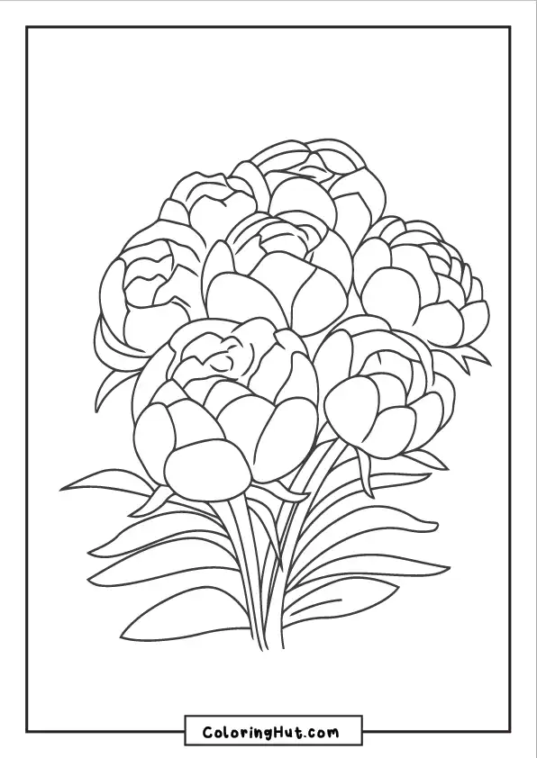 Peony garden coloring page featuring a cluster of peony flowers with dense petals and lush leaves.