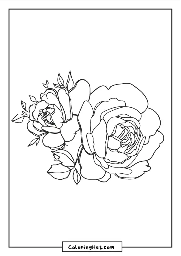 Peony flower bouquet coloring page with multiple blossoms arranged beautifully.