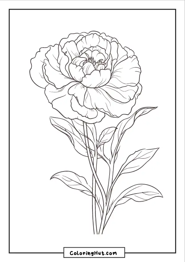 Elegant peony flower coloring page featuring a large blooming peony with detailed petals and leaves.