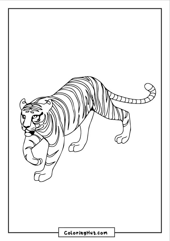 Realistic tiger coloring page featuring a prowling tiger in a hunting stance.