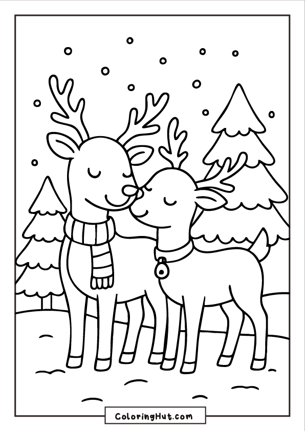 Two reindeer standing close together in a snowy forest, wearing scarves and surrounded by pine trees.
